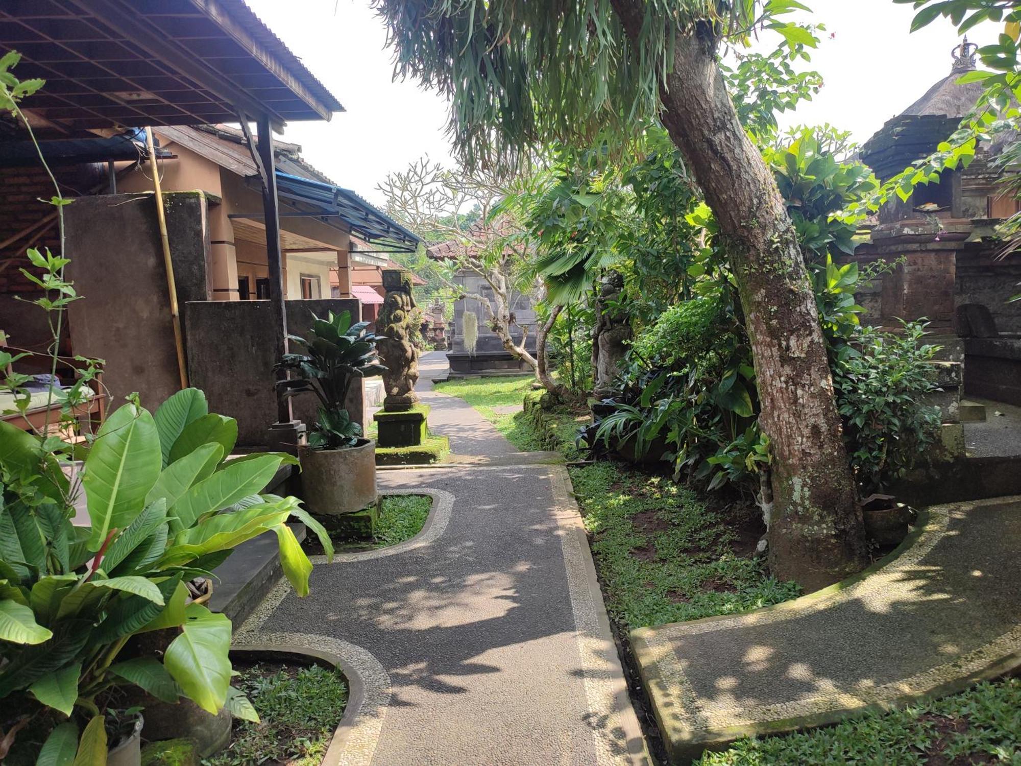 Bhuana Shanti Homestay Ubud  Room photo