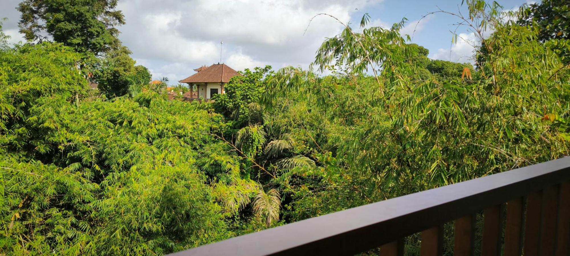 Bhuana Shanti Homestay Ubud  Exterior photo
